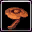 Fungus