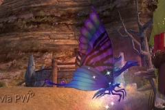 Borboleta-Vermelha-WesleyHP-1