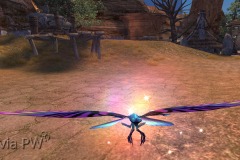 Borboleta-Vermelha-WesleyHP-2