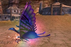 Borboleta-Vermelha-WesleyHP-3