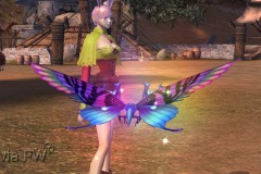 Borboleta-Vermelha-WesleyHP-4