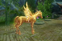 Campeao-Corcel-Dourado-WesleyHP-1