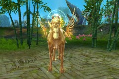 Campeao-Corcel-Dourado-WesleyHP-2