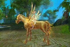 Campeao-Corcel-Dourado-WesleyHP-3