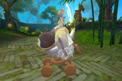 Carrossel-do-Pinguim-WesleyHP-3