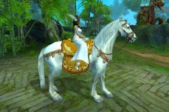 Cavalo-Bailong-do-Vento-WesleyHP-1
