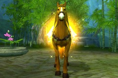 Cavalo-Dourado-WesleyHP-2