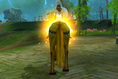 Cavalo-Dourado-WesleyHP-4