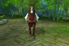 Cavalo-Vermelho-do-Vento-WesleyHP-2