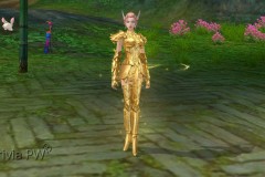Conjunto-Armadura-de-Ouro-Feminino-02