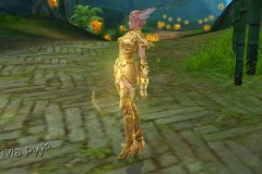 Conjunto-Armadura-de-Ouro-Feminino-03