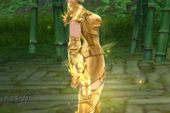 Conjunto-Armadura-de-Ouro-Feminino-09