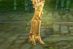 Conjunto-Armadura-de-Ouro-Feminino-13