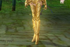Conjunto-Armadura-de-Ouro-Feminino-14