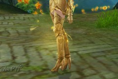 Conjunto-Armadura-de-Ouro-Feminino-15