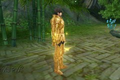 Conjunto-Armadura-de-Ouro-Masculino-01