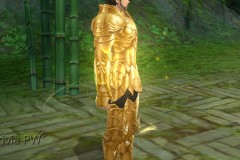 Conjunto-Armadura-de-Ouro-Masculino-09