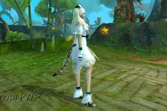Conjunto-da-Encantadora-Feminino-01