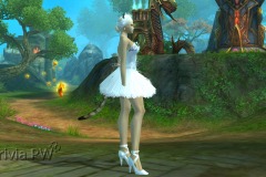 Conjunto-de-Penas-de-Cisne-Feminino-01