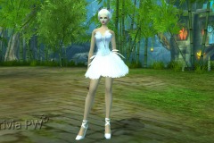 Conjunto-de-Penas-de-Cisne-Feminino-02