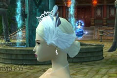 Conjunto-de-Penas-de-Cisne-Feminino-07