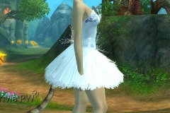 Conjunto-de-Penas-de-Cisne-Feminino-09