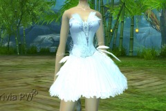 Conjunto-de-Penas-de-Cisne-Feminino-10