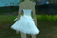 Conjunto-de-Penas-de-Cisne-Feminino-12