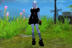 Conjunto-Felino-Feminino-02