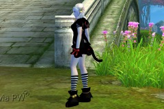 Conjunto-Felino-Feminino-03