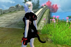 Conjunto-Felino-Feminino-11