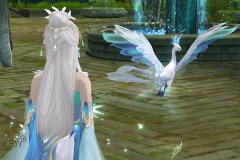 Conjunto-Fenix-Azure-Feminino-08