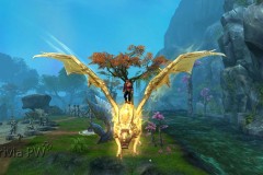 Dragao-De-Ouro-WesleyHP-2