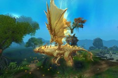 Dragao-De-Ouro-WesleyHP-3