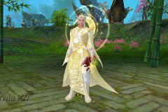 ★Arco-Celestial-WesleyHP-2