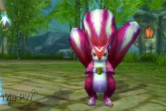 Esquilo-Vermelho-WesleyHP-2