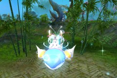 Montaria-Estrela-Cadente-WesleyHP-2