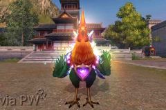 Grande-Senhor-Galo-WesleyHP-2
