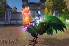 Grande-Senhor-Galo-WesleyHP-3