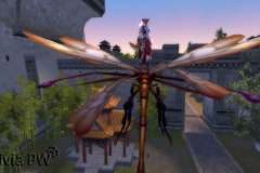 Libélula-Gigante-WesleyHP-4
