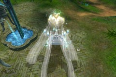 Liteira-do-Cervo-Celestial-WesleyHP-4