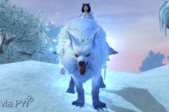 Lobo-da-Tundra-Frígida-WesleyHP-2