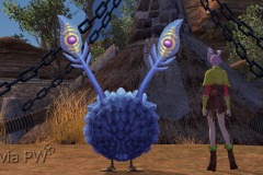 Mascote-Pássaro-Bob-WesleyHP-4