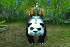 Panda-Imperial-WesleyHP-2