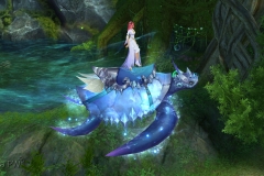 Passeio-Oceanico-WesleyHP-1