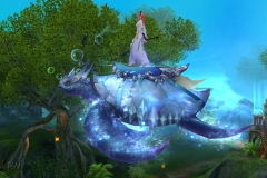 Passeio-Oceanico-WesleyHP-3
