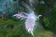 Pluma-Gelida-WesleyHP-1