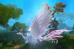Pluma-Gelida-WesleyHP-3