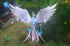 Pluma-Gelida-WesleyHP-4
