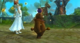 Urso Marrom de Mestre – Pet Ornamental